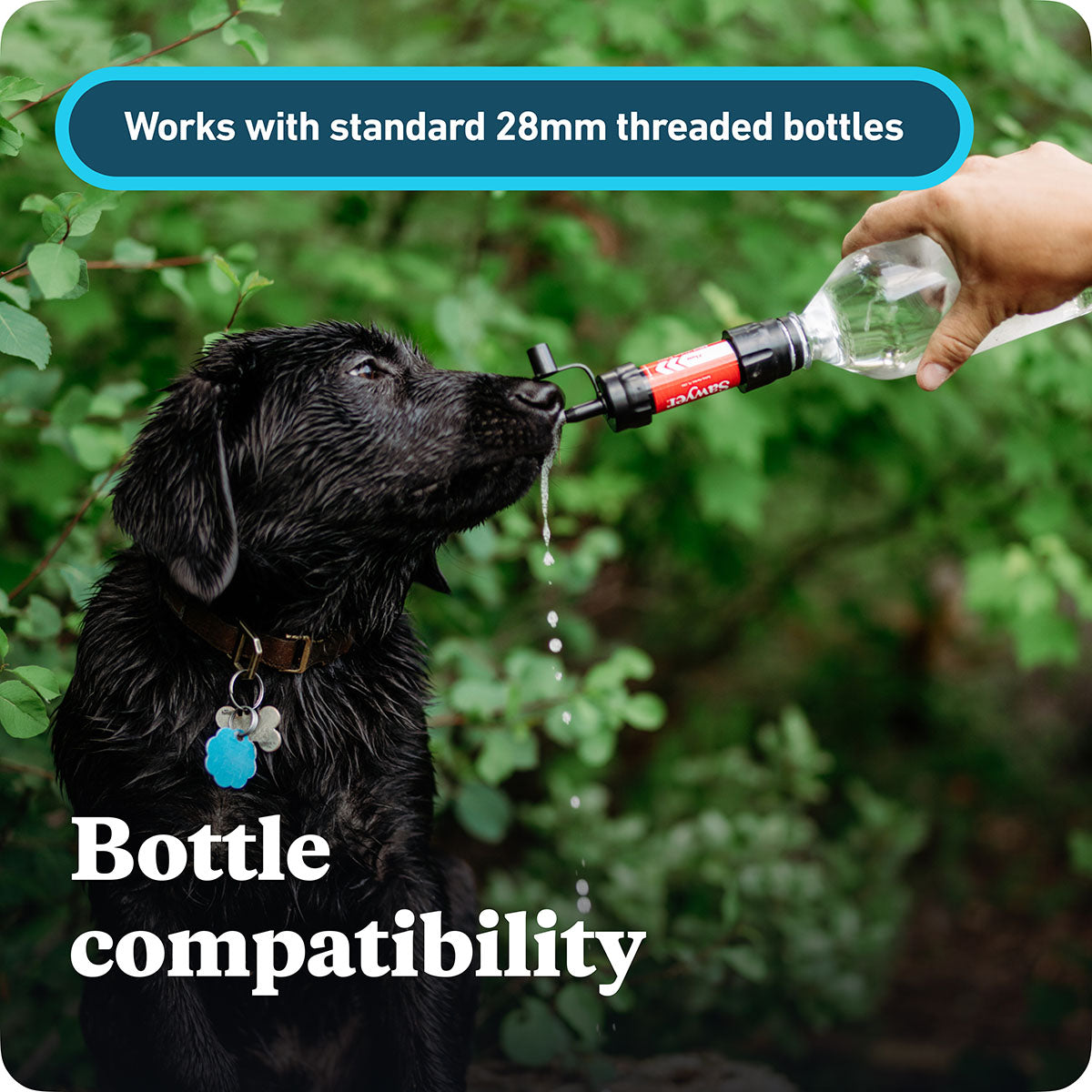 SAWYER - Mini Water Filter System - Emergency Portable Water Filter